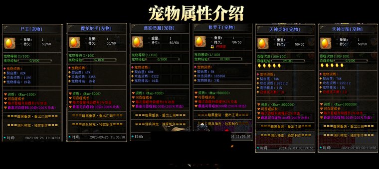 宠物属性介绍